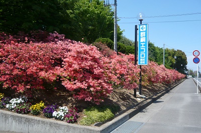 群桐エコロ株式会社の花壇の写真