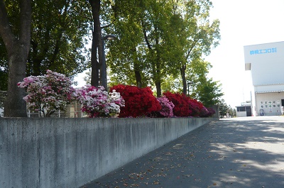 群桐エコロ株式会社の花壇の写真